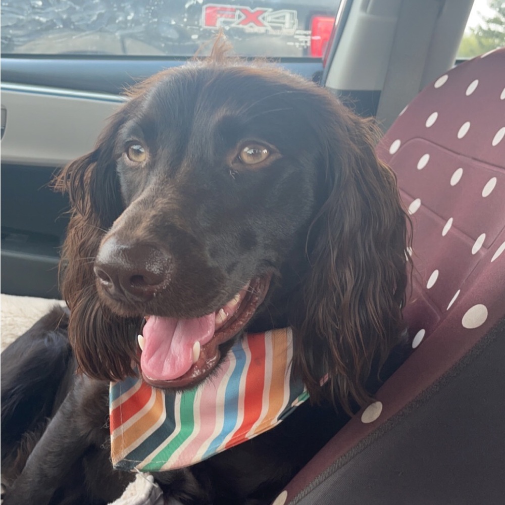 Meet your Posher, Breanna